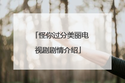 怪你过分美丽电视剧剧情介绍