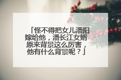 怪不得把女儿潘阳嫁给他，潘长江女婿原来背景这么厉害，他有什么背景呢？