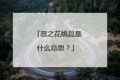 恶之花姚晨是什么意思？