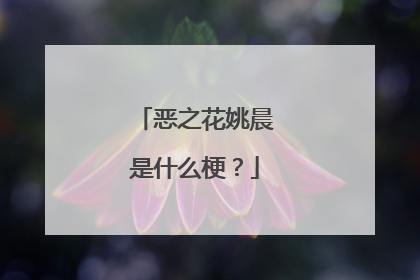 恶之花姚晨是什么梗？