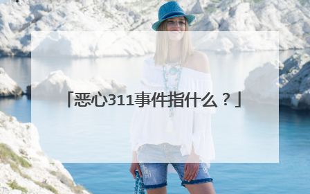 恶心311事件指什么？