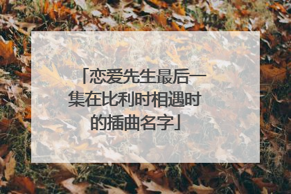 恋爱先生最后一集在比利时相遇时的插曲名字