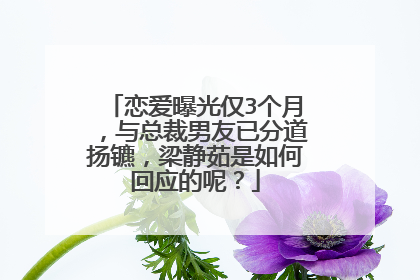 恋爱曝光仅3个月，与总裁男友已分道扬镳，梁静茹是如何回应的呢？
