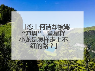 恋上何洁却被骂“渣男”,童星释小龙是怎样走上不红的路?
