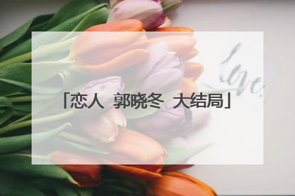 恋人 郭晓冬 大结局