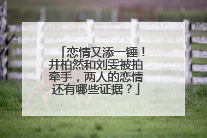 恋情又添一锤!井柏然和刘雯被拍牵手,两人的恋情还有哪些证据?