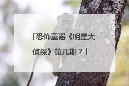 恐怖童谣《明星大侦探》第几期？