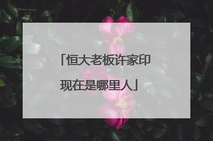 恒大老板许家印现在是哪里人