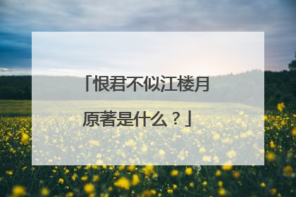 恨君不似江楼月原著是什么?