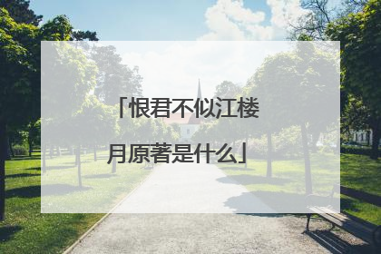 恨君不似江楼月原著是什么