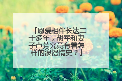 恩爱相伴长达二十多年，胡军和妻子卢芳究竟有着怎样的浪漫情史？