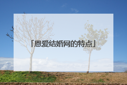 恩爱结婚网的特点