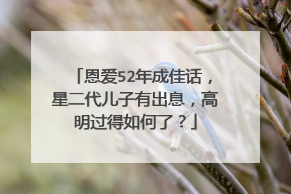 恩爱52年成佳话，星二代儿子有出息，高明过得如何了？