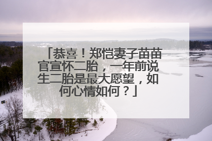 恭喜！郑恺妻子苗苗官宣怀二胎，一年前说生二胎是最大愿望，如何心情如何？