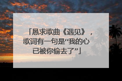 恳求歌曲《遇见》,歌词有一句是“我的心已被你偷去了”