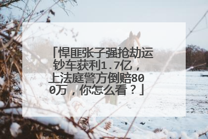 悍匪张子强抢劫运钞车获利1.7亿，上法庭警方倒赔800万，你怎么看？