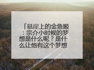 悬崖上的金鱼姬：宗介小时候的梦想是什么呢？是什么让他有这个梦想的呢？