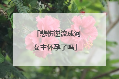 悲伤逆流成河女主怀孕了吗