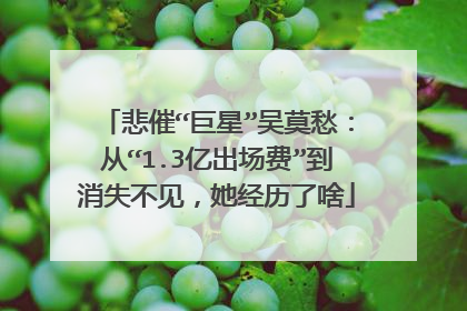 悲催“巨星”吴莫愁：从“1.3亿出场费”到消失不见，她经历了啥