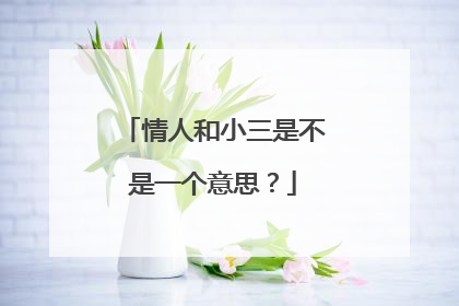 情人和小三是不是一个意思？