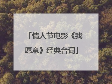 情人节电影《我愿意》经典台词