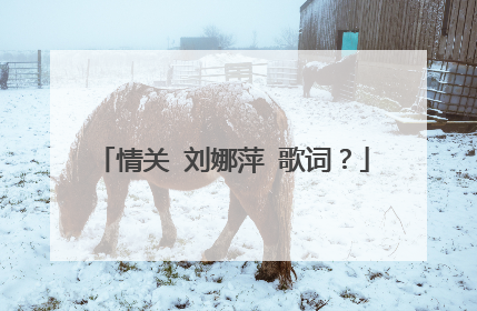 情关 刘娜萍 歌词？