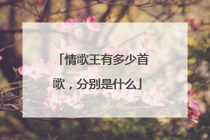 情歌王有多少首歌，分别是什么