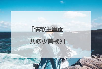 情歌王里面一共多少首歌?