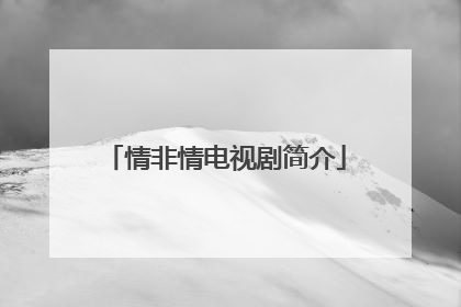 情非情电视剧简介