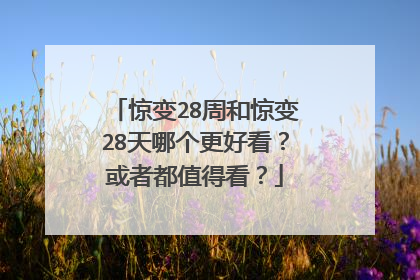 惊变28周和惊变28天哪个更好看?或者都值得看?