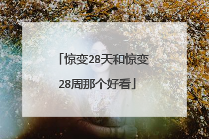惊变28天和惊变28周那个好看
