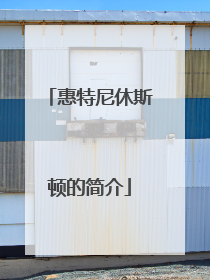 惠特尼休斯顿的简介