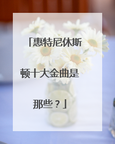 惠特尼休斯顿十大金曲是那些?