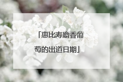 惠比寿麝香葡萄的出道日期