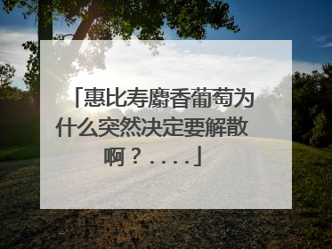 惠比寿麝香葡萄为什么突然决定要解散啊？....