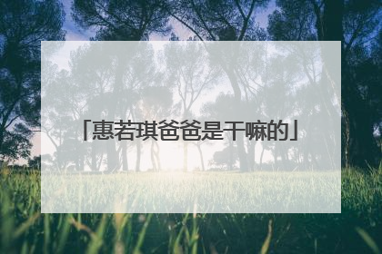 惠若琪爸爸是干嘛的