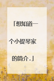 想知道一个小提琴家的简介.