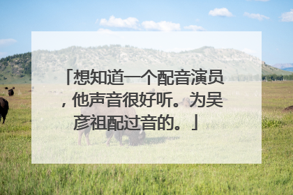 想知道一个配音演员，他声音很好听。为吴彦祖配过音的。