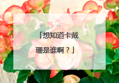 想知道卡戴珊是谁啊？