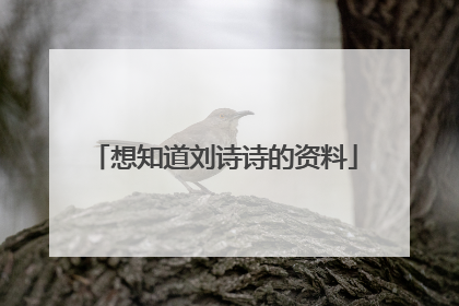 想知道刘诗诗的资料