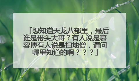 想知道天龙八部里,最后谁是带头大哥?有人说是慕容博有人说是扫地僧,请问哪里知道的啊???