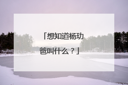 想知道杨玏爸叫什么？