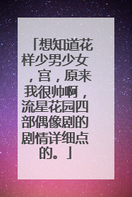 想知道花样少男少女,宫,原来我很帅啊,流星花园四部偶像剧的剧情详细点的。