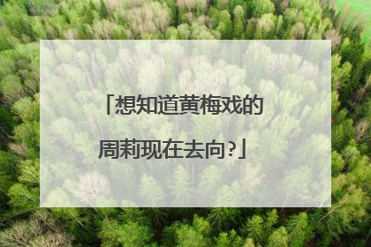 想知道黄梅戏的周莉现在去向?