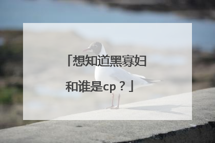 想知道黑寡妇和谁是cp？