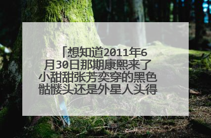 想知道2011年6月30日那期康熙来了小甜甜张芳奕穿的黑色骷髅头还是外星人头得t恤是什么牌子的?