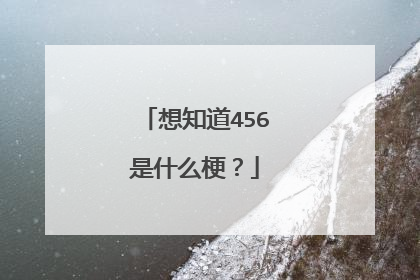 想知道456是什么梗？