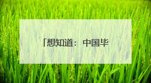 想知道: 中国毕畅个人资料在哪?