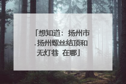 想知道: 扬州市 .扬州螺丝结顶和无灯巷 在哪