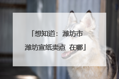 想知道: 潍坊市 潍坊宣纸卖点 在哪